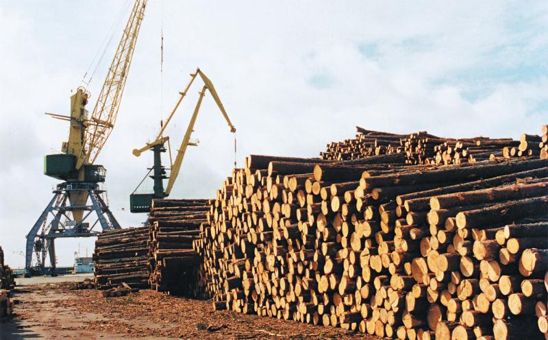 File:4_496_väljaveetava puidu laoplats Saaremaal Roomassaare sadamas.jpg